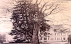 Chateau_de_Mousseau (19).jpg